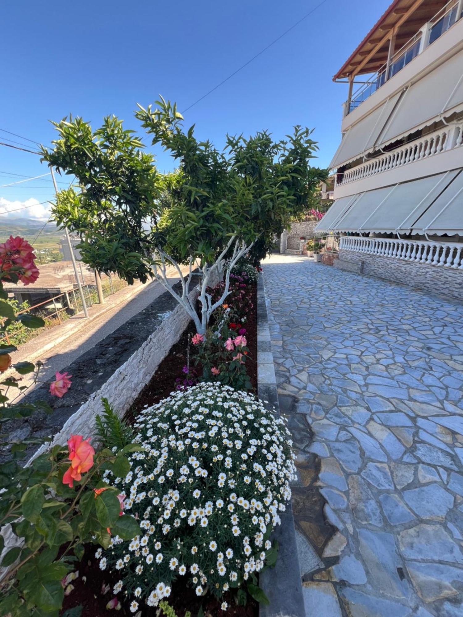 Amazing Familiar Apartments And Rooms Sarandë Exteriér fotografie